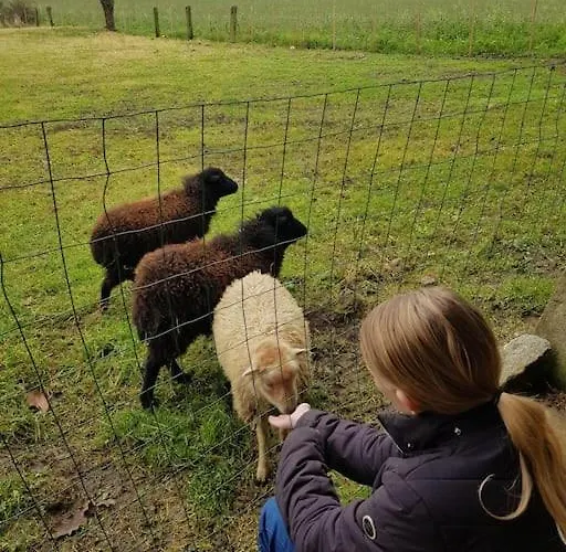 Holiday home La Grange De Victor 12/14 Pers - Mont-saint-michel Ceaux